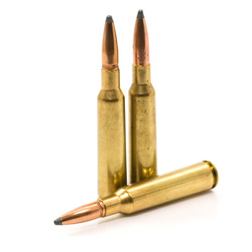 Soft Point Bullets, What are they? Why use them? First Time Gun Buyer  explains.